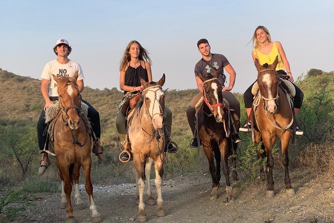 Horse Ride - Provider Information