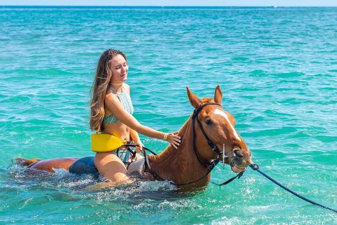 Horse Riding Adventure From Sharm El Sheikh - Reviews