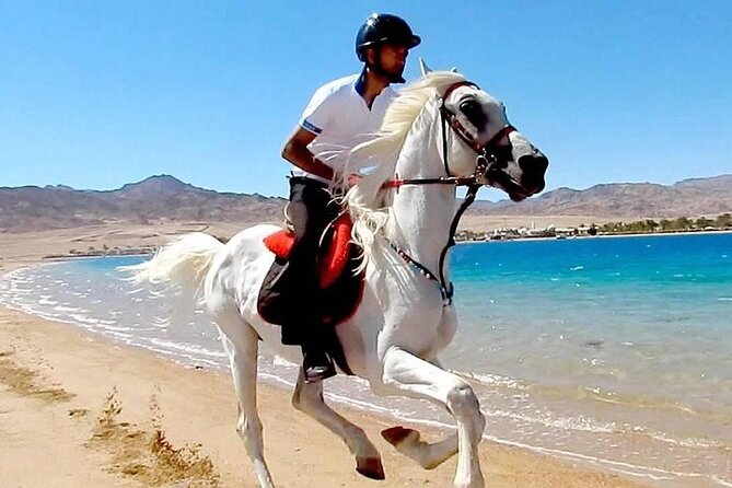 Horse Riding in Dahab - Private Tour Inclusions