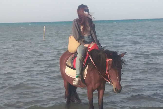 Horse Riding in Hurghada 1 Hour Beach - Overview of Horse Riding