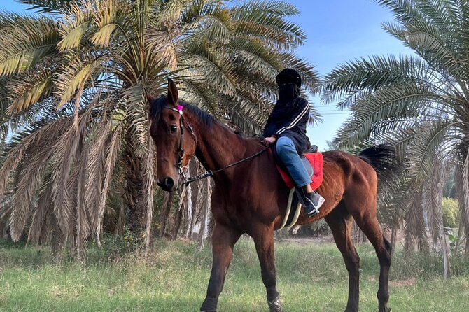 Horse Riding Through Beautiful Nature in Madinah