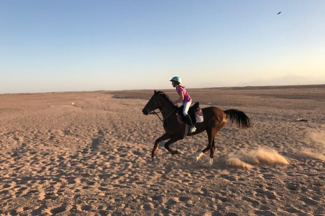 Horse Riding Tour For 3 Hours, Swimming By Horse - Hurghada - Tour Overview