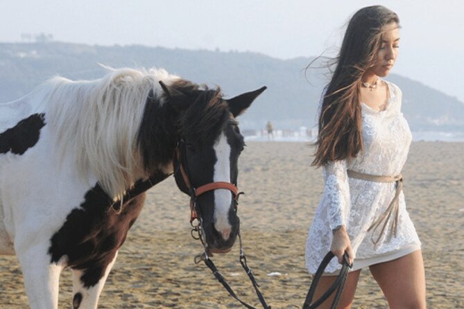 Horse Riding Tour in Bodrum With Roundtrip Transfer - Overview of the Tour