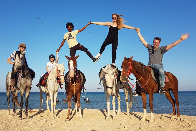 Horse Riding Two Hours at Amazing Desert With Transfer - Marsa Alam - Pickup Information and Requirements