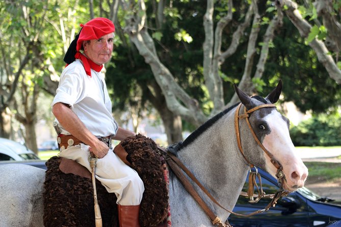 Horseback Riding and Countryside Day