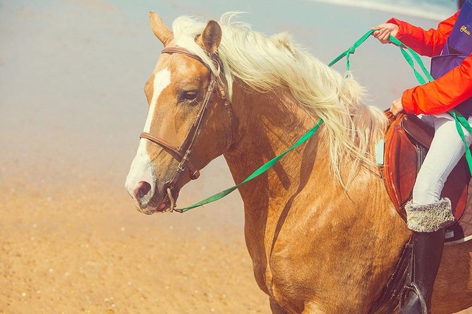 Horseback Riding: PLAYA BLANCA Advanced Riders – Tangier – 1 Hour