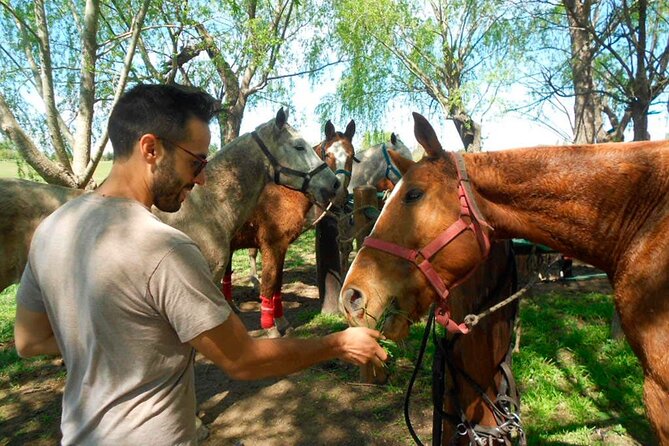 Horseback Riding Tour and Polo in Argentine Countryside - Tour Location and Inclusions
