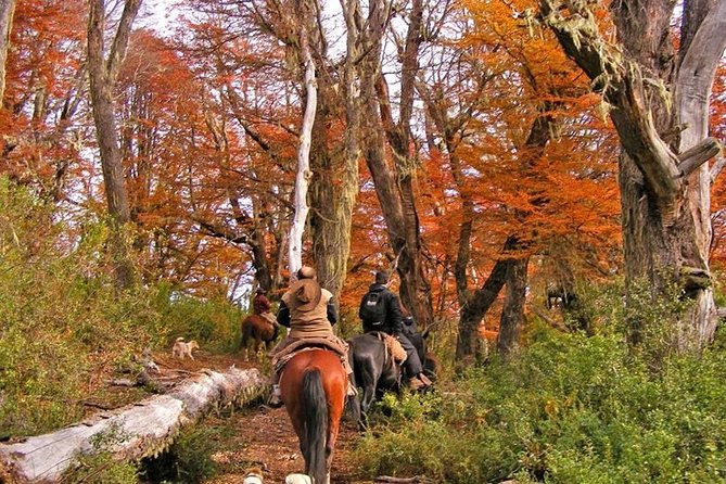 Horseback Riding Tour: Lanin National Park and Mapuche Culture - Meeting and Pickup Details