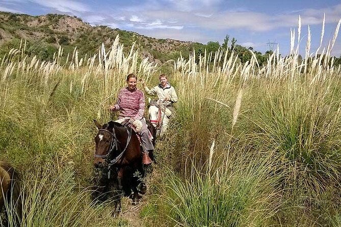 Horseback Riding With Gauchos and Native Empanadas in Mendoza - Scenic Trails of Mendoza
