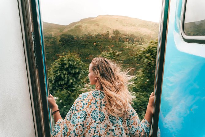 Horton Plains Day Tour With Short Train Journey From Ella