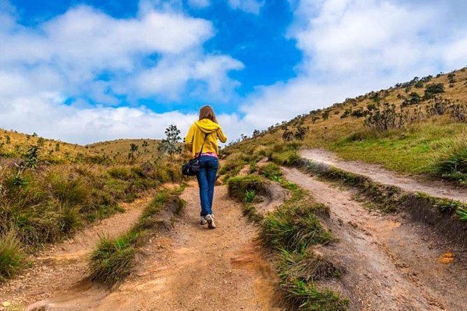 Horton Plains National Park : Private Guided Trekking Tour