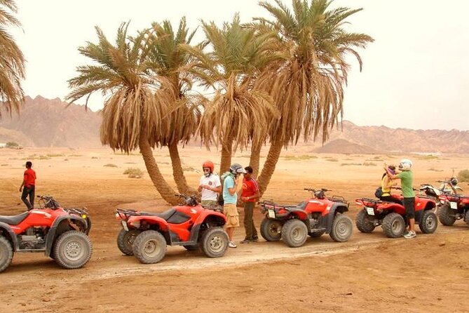 Hurghad Quad Biking and Bedouin Village Experience - Experience Details