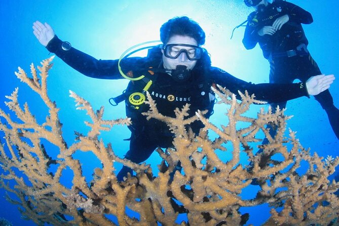Hurghada Diving Excursion With 2 Stops for Beginners - Pickup Information and Requirements