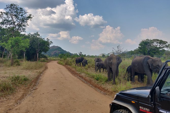Hurulu Eco Park Entrance Ticket - Ticket Inclusions