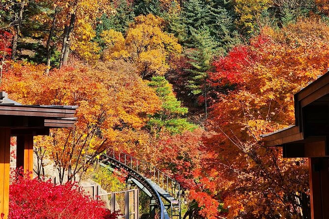 Hwadam Botanic Garden and Namhansanseong and Folk Village Trip - What To Expect