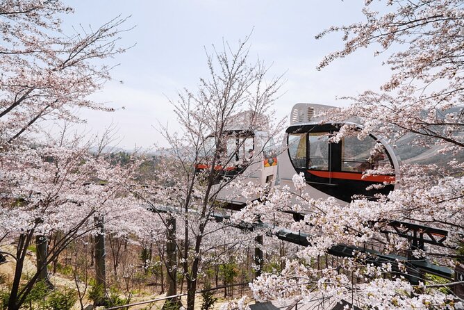 Hwadam Botanic Garden & Nami Island Spring Flowers Day Tour