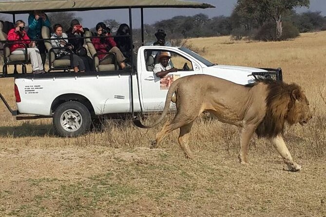 Hwange Park Big 5 Game Drive! - Inclusions and Exclusions