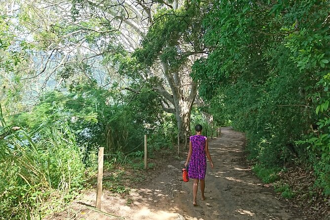 Ilha Grande: Walking Abraão Historical Tour and Natural Pool