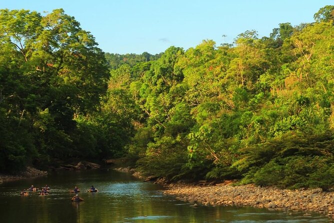 Immerse in Huaorani Culture | 3 Days Rainforest Tour From Quito