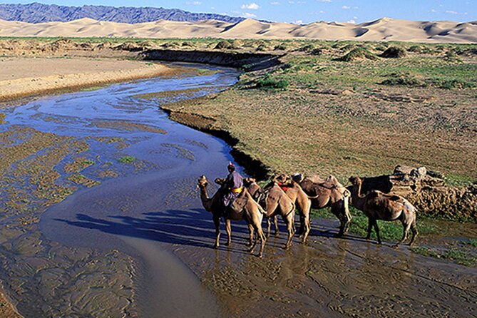 Immersive Mongolian Gobi Experience, Camel, Cousine, Stargaze, 2D - Pickup Logistics