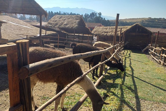 INCA Trail to MachuPicchu 4Day /3Night -Group Service.