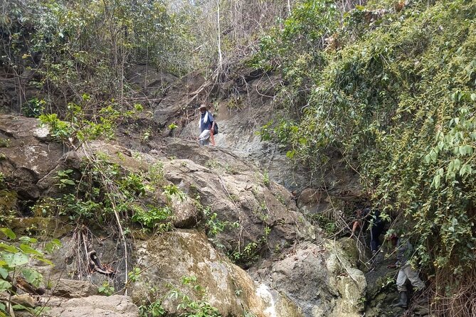 Into the Wild: a Volunteer Experience With Monkey Reintroduction
