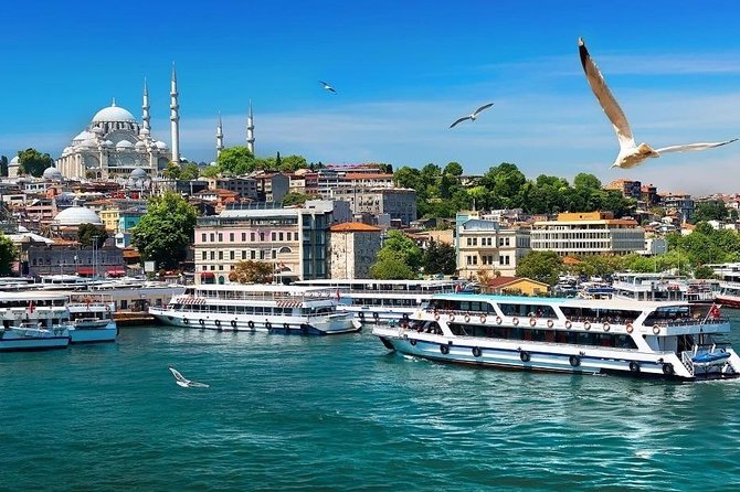 Istanbul Relaxing Princes Islands Tour - Small Group - Pickup and Logistics