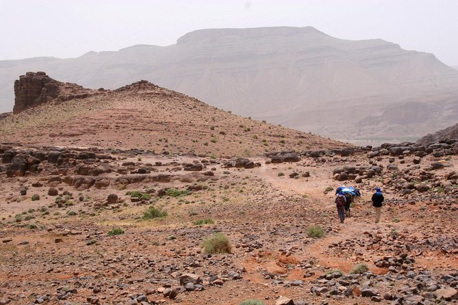 Jebel Saghro Trekking Tour - Itinerary Highlights