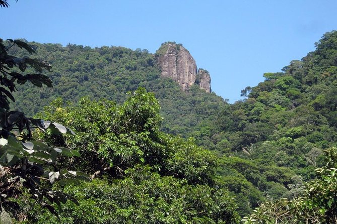 Jeep Tour Corcovado With Tijuca Rain Forest And Santa Teresa