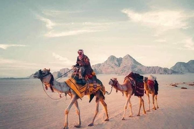 Joyful Roads: Dead Sea – Wadi Rum