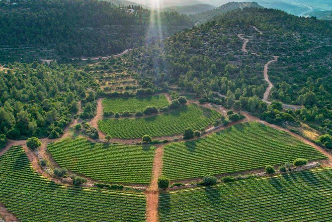 Judean Hills Wine Tasting Tour From Jerusalem - Tour Details