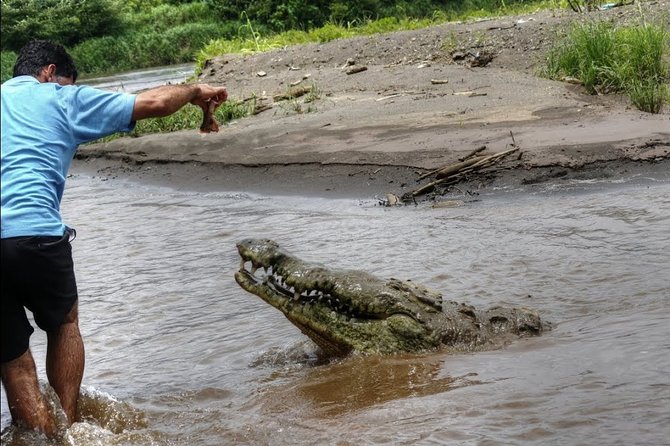 Jungle Crocodile Safari & Jaco Beach From San Jose - Tour Highlights