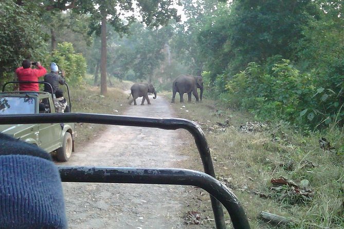 2 Best Safari Tours In Rishikesh