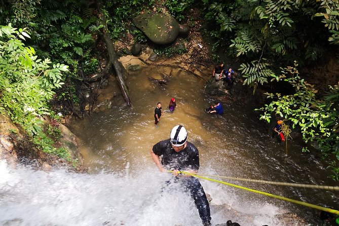 Jungle Trekking + Waterfall Abseiling - Experience Highlights