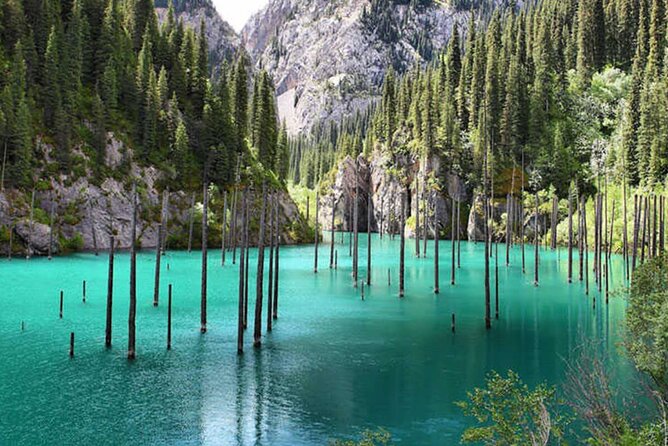 Kaindy and Kolsay Lake Tour - Tour Location and Inclusions