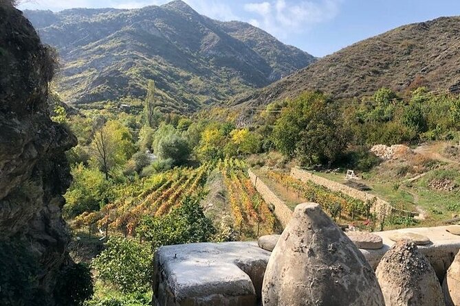 Kakheti Boutique Wine Tour - 3 Wineries & Lunch - Lunch at Winery
