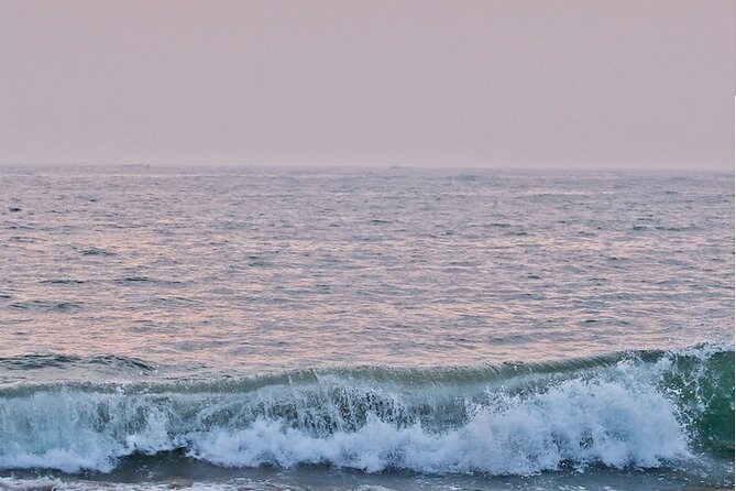 Kalakshetra, Theosophical Society & Elliots Beach – Chennai