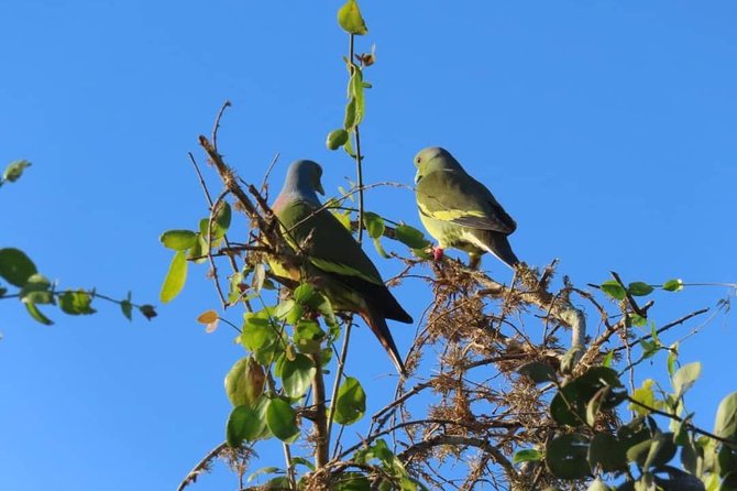 Kalametiya Bird Watching,Lagoon Safari Trip From Any Hotels Southern Province - Accessibility