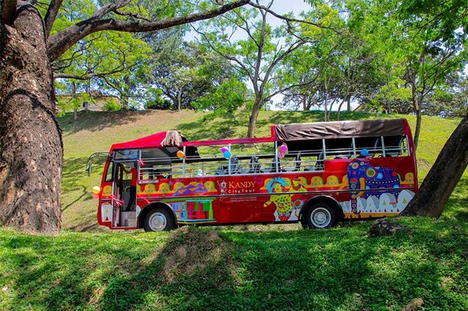 Kandy City Tour by Open-Deck Bus