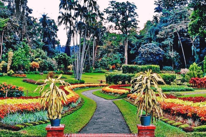 Kandy City Tour for Couple Price