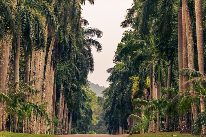 Kandy City Tour From Dambulla - Inclusions