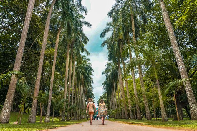 Kandy City Walk With a Local - Meeting and Pickup Details