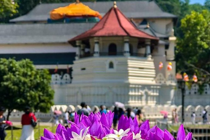 Kandy Day Tour From Colombo With Pinnawala - Pickup Points