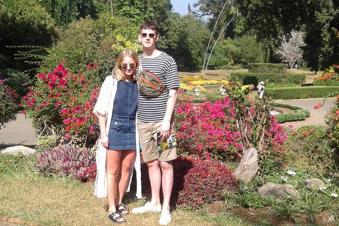 Kandy Day Trip From Colombo: Tea Factory- Peradeniya Botanical Gardens-Kandy - Tour Highlights