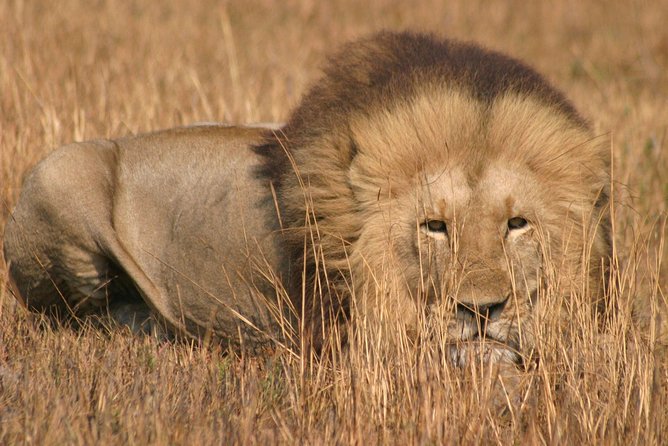 Kanzwa Short Holiday Break -2 Nights Safari Kafue National Park Central Region