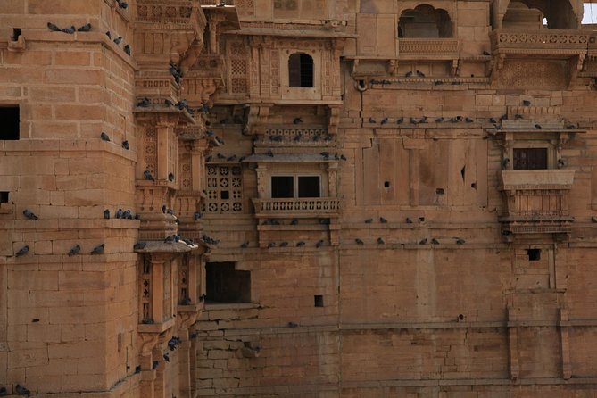 Karauli Village & Wildlife Tour From Jaipur - Tour Highlights