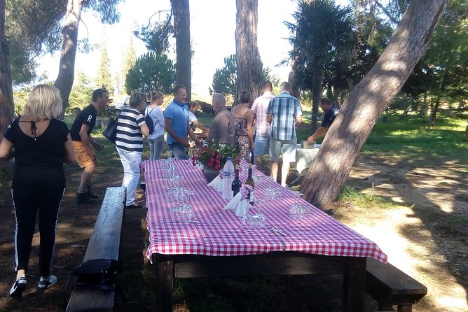 Katakolon Shore Excursion: Private Wine-Tasting Tour of Mercouri Estate Winery - Booking Confirmation