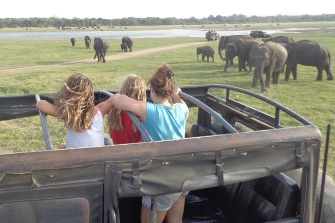 Kaudulla National Park - Private Safari From Sigiriya - Tour Details