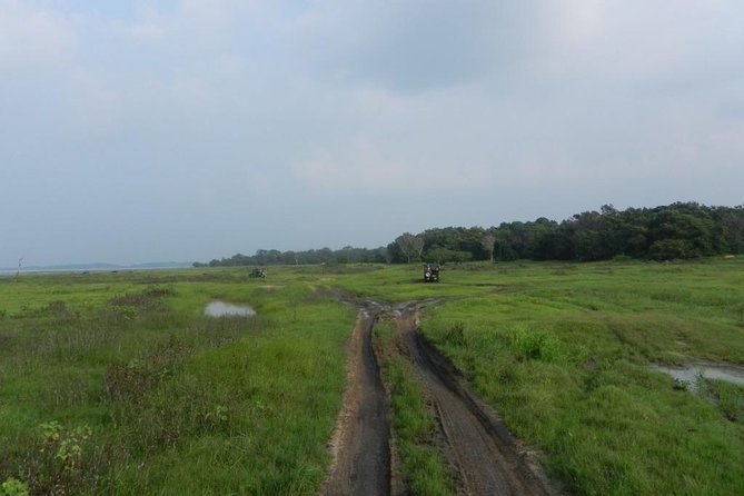 Kaudulla National Park Safari From Sigiriya