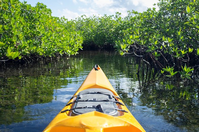 Kayaking in Habarana